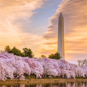 DC Blossoms & Odyssey - Selinsgrove Departure