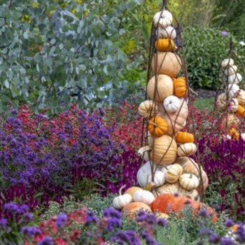 Fall Treasures w/ Sue Weigel