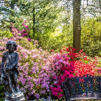 DC Odyssey & Hillwood