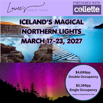 Iceland's Magical Northern Lights