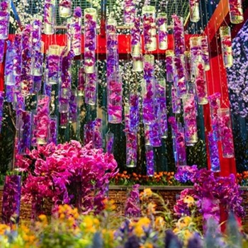 Flower Show - On Your Own