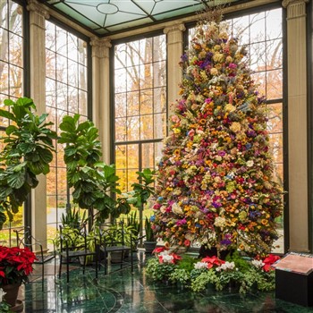 Longwood Christmas w/ Winterthur