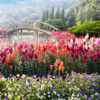 Garden Series Trips